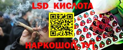 дмт Шелехов