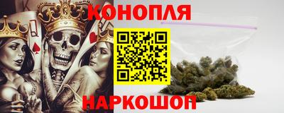 дмт Шелехов