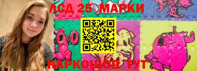 дмт Шелехов