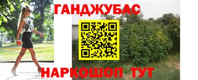 дмт Шелехов