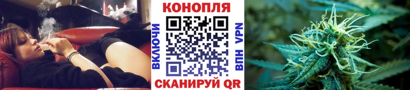 Шишки марихуана планчик Асино